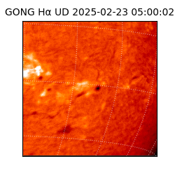 gong - 2025-02-23T05:00:02