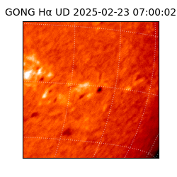 gong - 2025-02-23T07:00:02