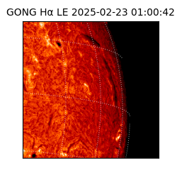 gong - 2025-02-23T01:00:42
