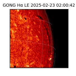 gong - 2025-02-23T02:00:42