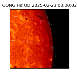 gong - 2025-02-23T03:00:02