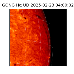 gong - 2025-02-23T04:00:02