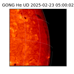 gong - 2025-02-23T05:00:02
