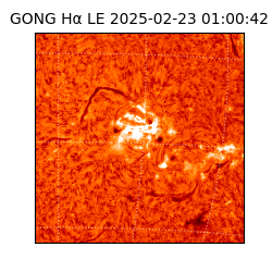 gong - 2025-02-23T01:00:42