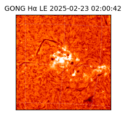 gong - 2025-02-23T02:00:42