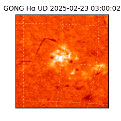 gong - 2025-02-23T03:00:02