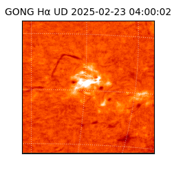 gong - 2025-02-23T04:00:02