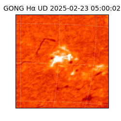 gong - 2025-02-23T05:00:02