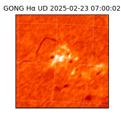 gong - 2025-02-23T07:00:02