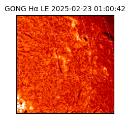 gong - 2025-02-23T01:00:42