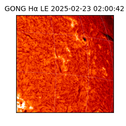 gong - 2025-02-23T02:00:42