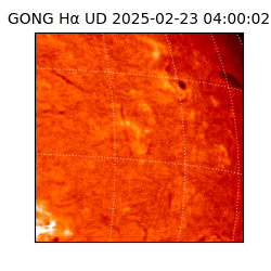 gong - 2025-02-23T04:00:02