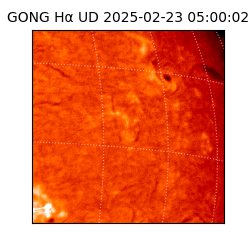 gong - 2025-02-23T05:00:02