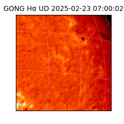 gong - 2025-02-23T07:00:02