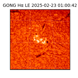 gong - 2025-02-23T01:00:42