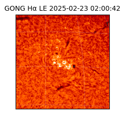 gong - 2025-02-23T02:00:42