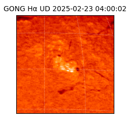 gong - 2025-02-23T04:00:02