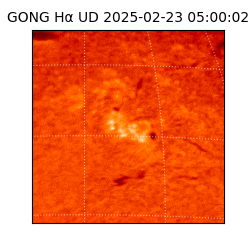 gong - 2025-02-23T05:00:02