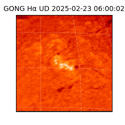 gong - 2025-02-23T06:00:02