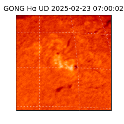 gong - 2025-02-23T07:00:02