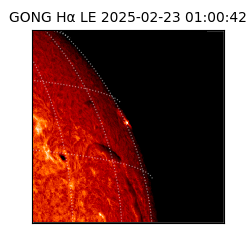 gong - 2025-02-23T01:00:42