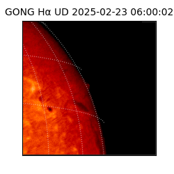 gong - 2025-02-23T06:00:02