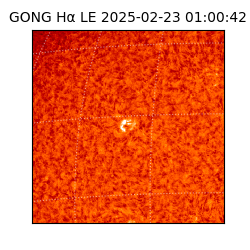 gong - 2025-02-23T01:00:42