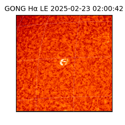 gong - 2025-02-23T02:00:42