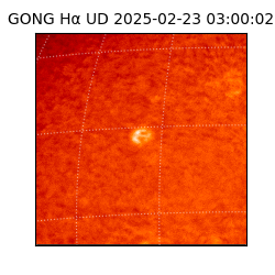 gong - 2025-02-23T03:00:02