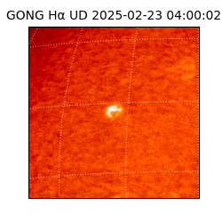 gong - 2025-02-23T04:00:02