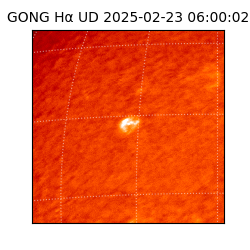 gong - 2025-02-23T06:00:02