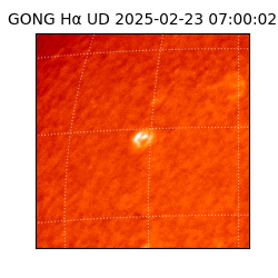 gong - 2025-02-23T07:00:02