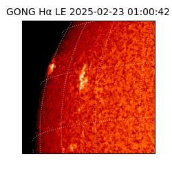 gong - 2025-02-23T01:00:42