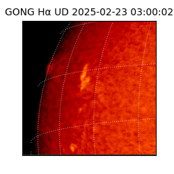 gong - 2025-02-23T03:00:02