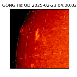 gong - 2025-02-23T04:00:02