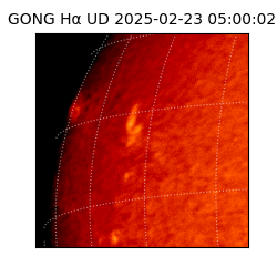 gong - 2025-02-23T05:00:02