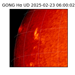 gong - 2025-02-23T06:00:02
