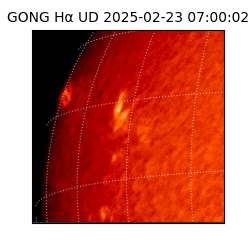 gong - 2025-02-23T07:00:02