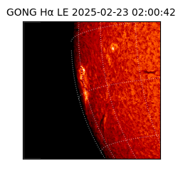 gong - 2025-02-23T02:00:42
