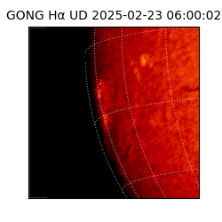 gong - 2025-02-23T06:00:02