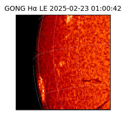 gong - 2025-02-23T01:00:42