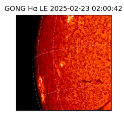 gong - 2025-02-23T02:00:42