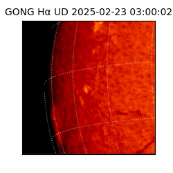 gong - 2025-02-23T03:00:02