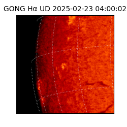 gong - 2025-02-23T04:00:02