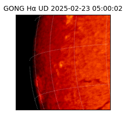 gong - 2025-02-23T05:00:02