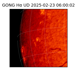 gong - 2025-02-23T06:00:02