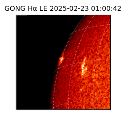 gong - 2025-02-23T01:00:42