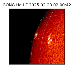 gong - 2025-02-23T02:00:42