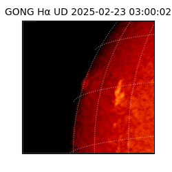 gong - 2025-02-23T03:00:02
