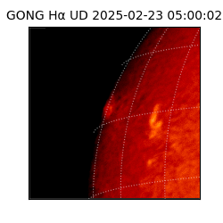 gong - 2025-02-23T05:00:02